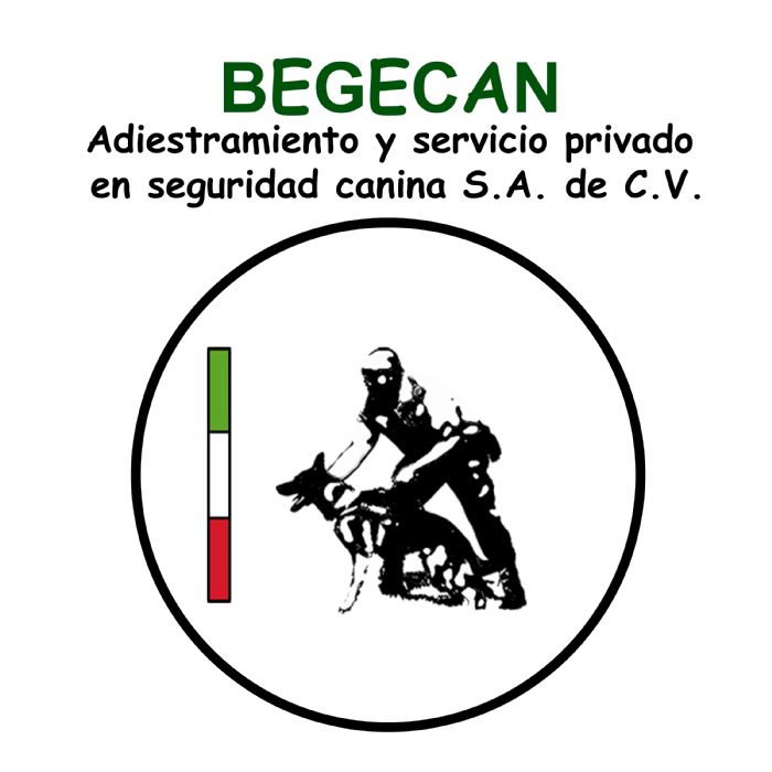 Renta de unidades caninas en guardia y protección.